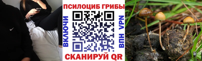 Галлюциногенные грибы GOLDEN TEACHER  Южноуральск 